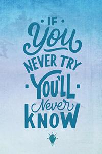 If You Never Try You'll Never Know