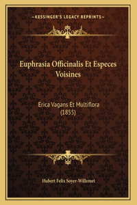 Euphrasia Officinalis Et Especes Voisines
