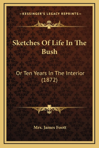 Sketches Of Life In The Bush