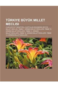 Turkiye Buyuk Millet Meclisi