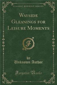 Wayside Gleanings for Leisure Moments (Classic Reprint)