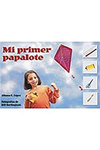 Mi Primer Papalote (My First Kite)