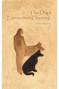 This Dog's Extraordinary Journey...