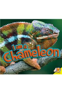 I Am a Chameleon