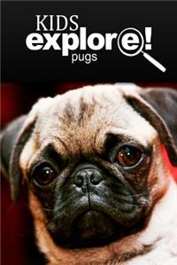 Pugs - Kids Explore