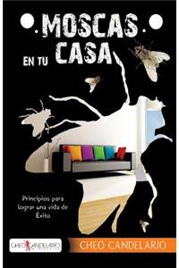 Moscas en tu casa
