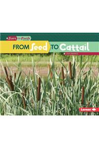 From Seed to Cattail