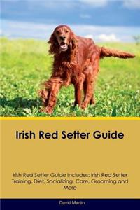 Irish Red Setter Guide