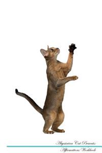 Abyssinian Cat Affirmations Workbook Abyssinian Cat Presents