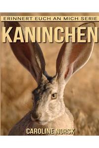 Kaninchen