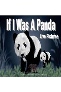 If I Was A Panda