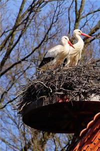 Two Storks in a Nest Bird Journal
