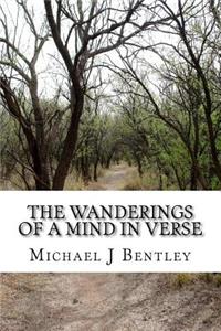 Wanderings Of A Mind In Verse
