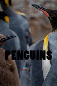 Penguins