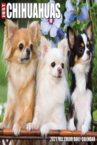 Just Chihuahuas 2021 Box Calendar (Dog Breed Calendar)