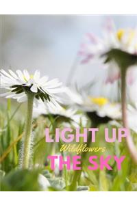 Light Up the Sky Wildflowers