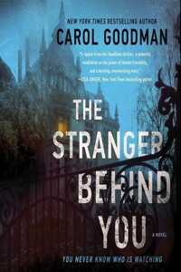 Stranger Behind You Lib/E