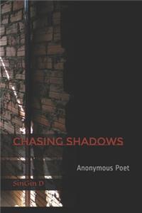 Chasing Shadows