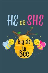 He or She Big sis to bee