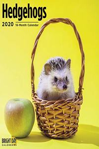 HEDGEHOGS WALL CALENDAR 2020