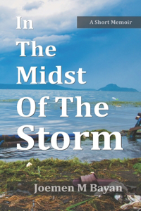 In The Midst Of The Storm