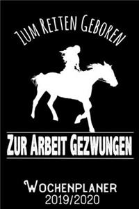 Zum Reiten geboren zur Arbeit gezwungen - Wochenplaner 2019 - 2020