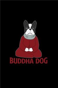 Buddha Dog