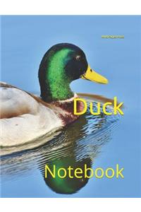 Duck
