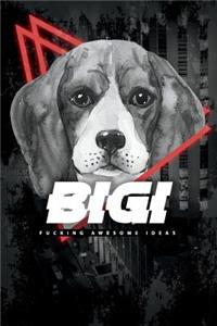 Bigi Fucking Awesome Ideas