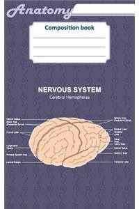 Anatomy composition book