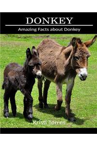 Amazing Facts about Donkey