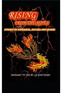 Rising from the Ashes