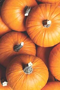 Pumpkin Patch Portable Journal