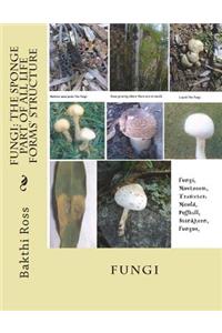 Fungi