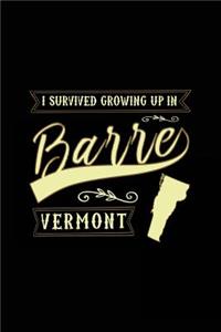 I Survived Growing Up In Barre Vermont