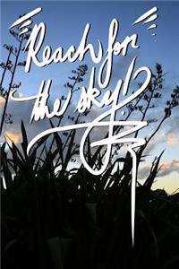 Reach for the sky