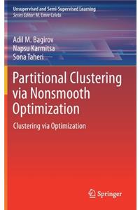 Partitional Clustering Via Nonsmooth Optimization