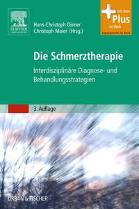 Die Schmerztherapie