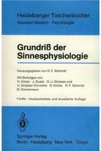 Grundria Der Sinnesphysiologie