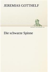 Schwarze Spinne