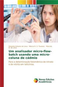 Um analisador micro-flow-batch usando uma micro-coluna de cádmio