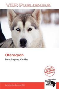 Otarocyon