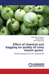 Effect of chemical and bagging on quality of rainy season guava