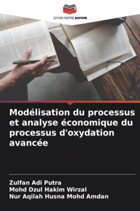 Modélisation du processus et analyse économique du processus d'oxydation avancée