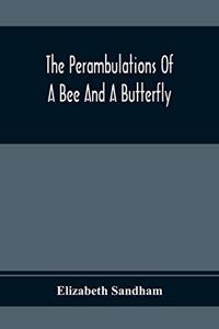 Perambulations Of A Bee And A Butterfly