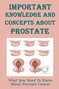 Important Knowledge And Concepts About Prostate
