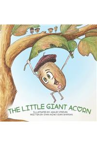 Little Giant Acorn