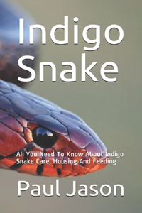 Indigo Snake