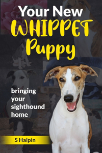 Your New WHIPPET Puppy