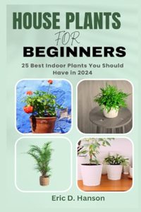 House Plants for Beginners